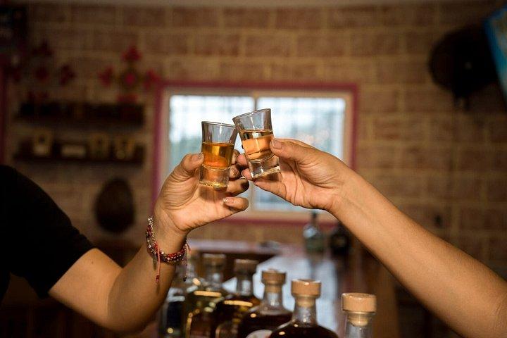 コスタ・マヤ テキーラ＆メスカル試飲と往復ポート送迎付き
