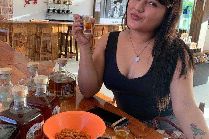 コスタ・マヤ テキーラ＆メスカル試飲と往復ポート送迎付き