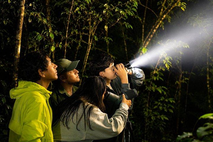 Guided Night Tour in Monteverde Cloud Forest