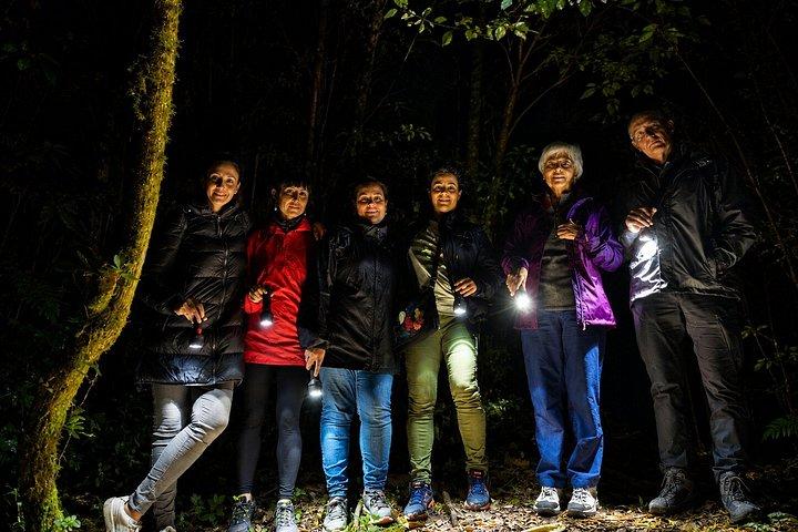 Guided Night Tour in Monteverde Cloud Forest