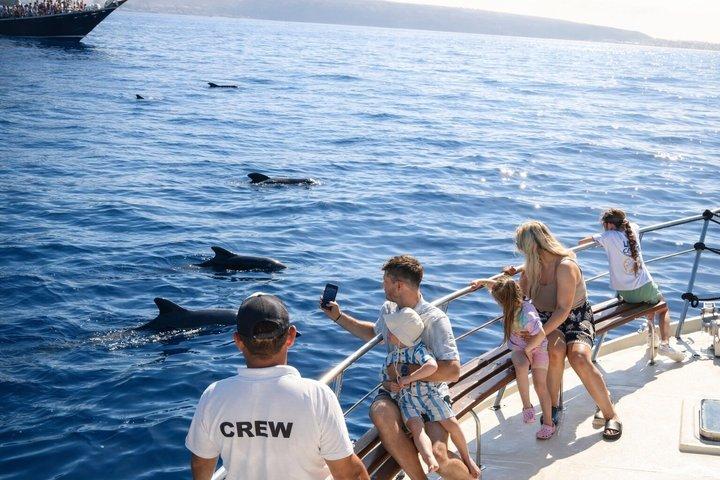 テネリフェでクジラを発見：乗り合いヨットツアー、スイム＆ランチ