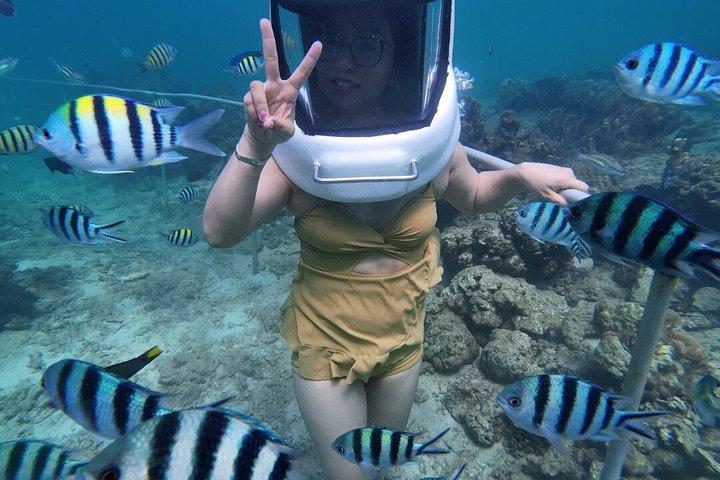 トゥンク・アブドゥル・ラフマン海洋公園でのガイド付きシュノーケリングツアーとランチ