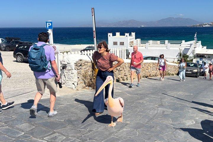 Private Mykonos Sightseeing Experience with a Local