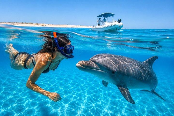 Lujosa lancha rápida privada Dolphin House y la isla de Hula Hula