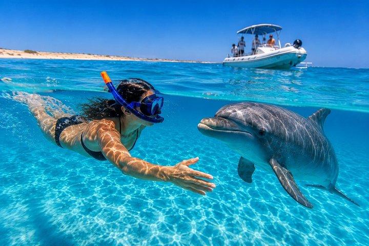 Aventura privada de lujo de lancha rápida Dolphin House Snorkeling