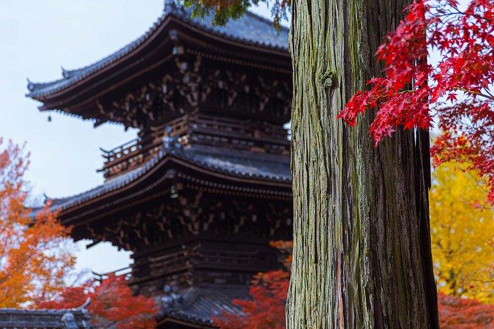 京都：フランス語での個人向けプライベートツアー