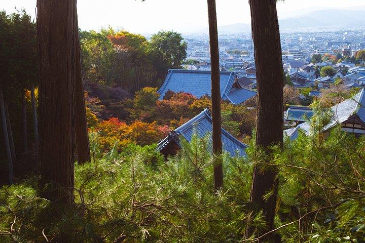 京都：フランス語での個人向けプライベートツアー