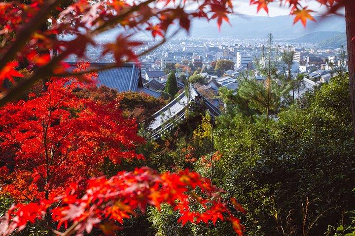 京都：フランス語での個人向けプライベートツアー