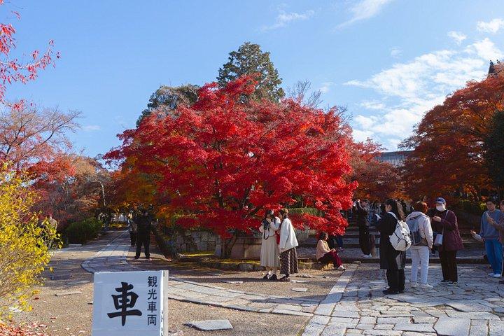 京都：フランス語での個人向けプライベートツアー