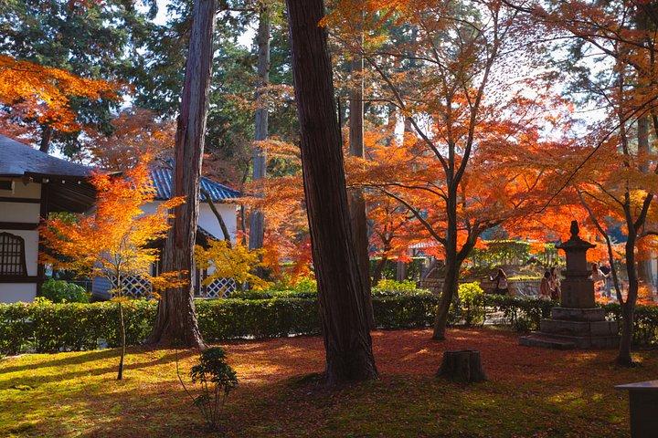京都：フランス語での個人向けプライベートツアー