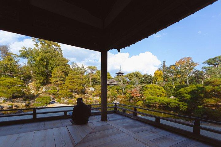 京都：フランス語での個人向けプライベートツアー