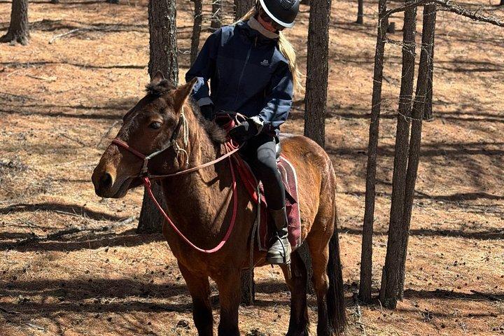 テレルジ国立公園での乗馬