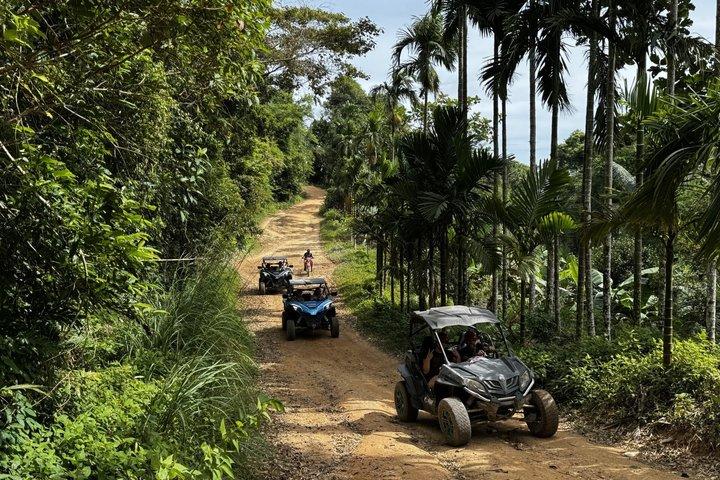 Samui X Quad Premium 4WD Buggy Tour with Lunch