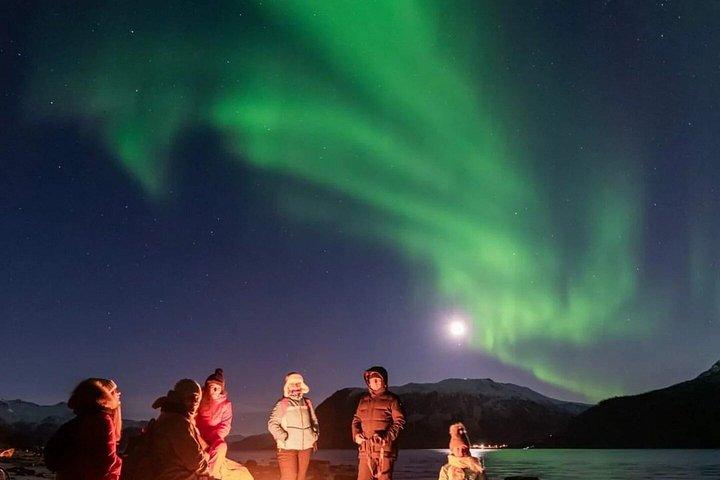 Private Exclusive Northern Lights Minivan Tour from Tromsø