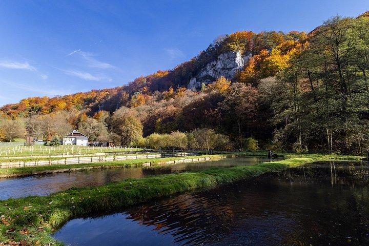 オジュクフ国立公園＆城：クラクフからプライベートSUVの旅