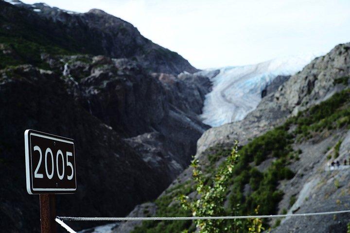 Anchorage to Seward Cruise Transfer with Exit Glacier