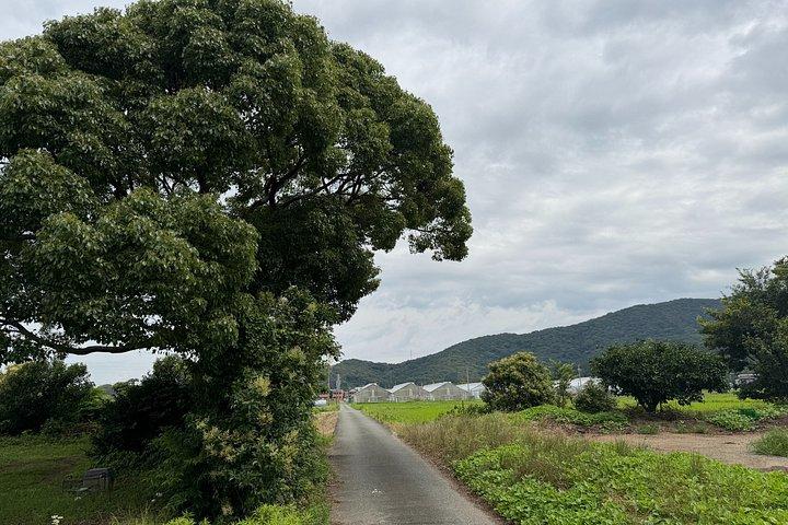 隠れた農村日本を発見 豊橋へのエクスクルーシブな旅