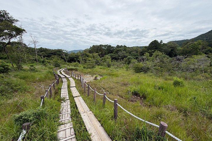 隠れた農村日本を発見 豊橋へのエクスクルーシブな旅