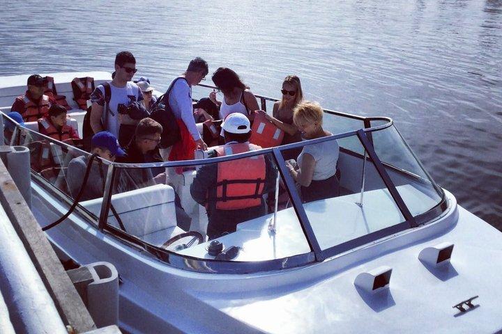 Paracas privés, cave et Huacachina Sunset Tour au départ de Lima