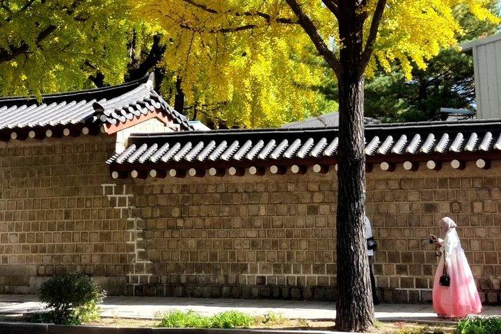 Visite privée locale de Séoul : Gyeongbokgung, Seochon & Market Tour