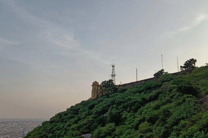 ジャイプール半日ツアー（アメル・ナハルガル城とモンキー寺院）