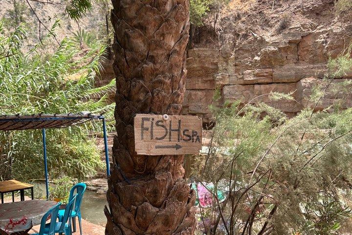 Explore Paradise Valley: Agadir's Hidden Gem