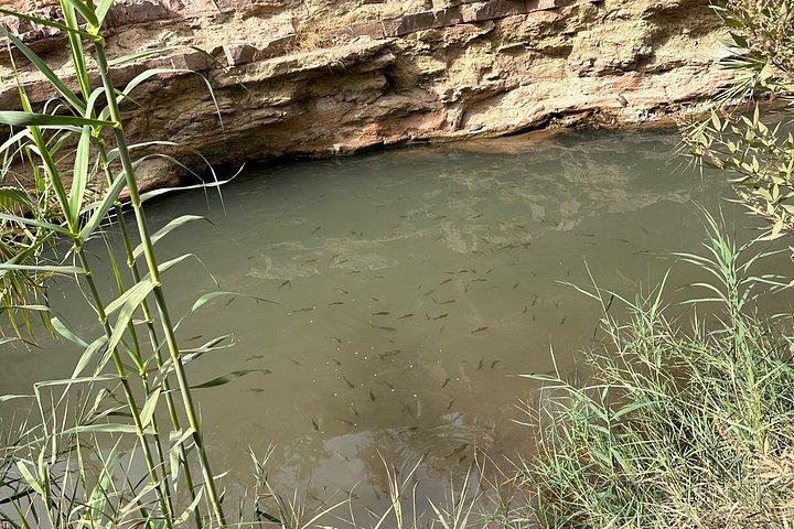 Explore Paradise Valley: Agadir's Hidden Gem