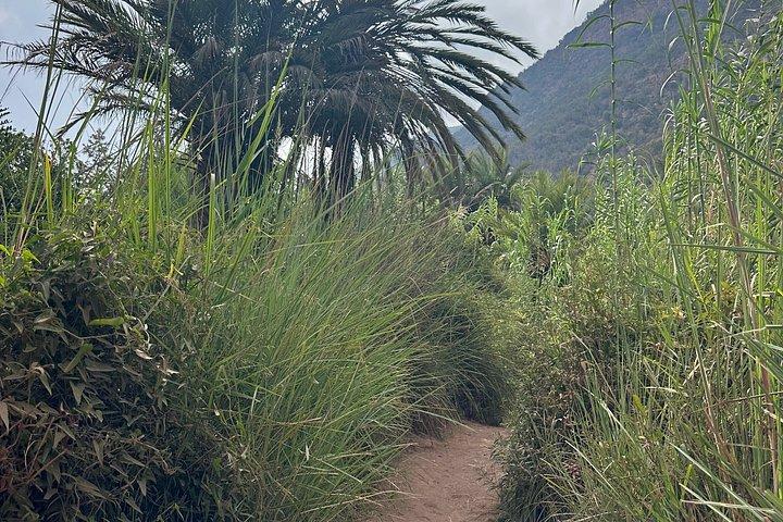 Explore Paradise Valley: Agadir's Hidden Gem