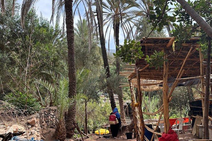 Explore Paradise Valley: Agadir's Hidden Gem