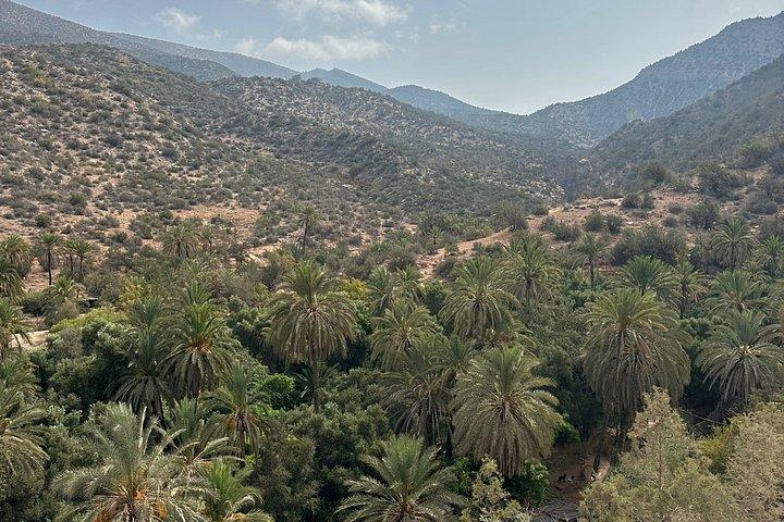 Explore Paradise Valley: Agadir's Hidden Gem