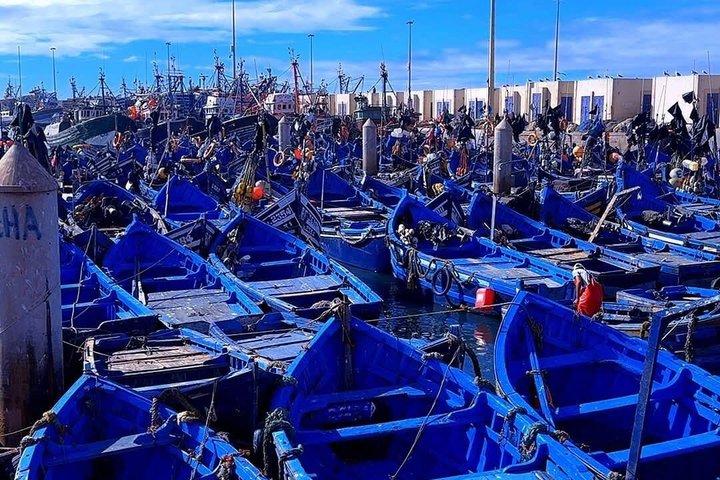 Essaouira day trip private tours
