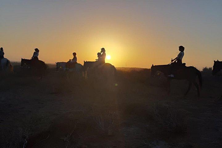 Sunset Horseback ridning i Aruba