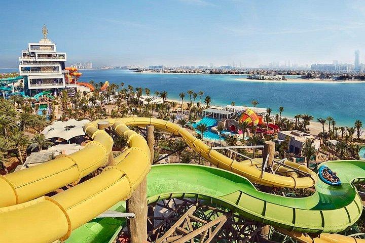 Dubai Aquaventure con Optional Xpress Pass, Acquario e Trasferimento