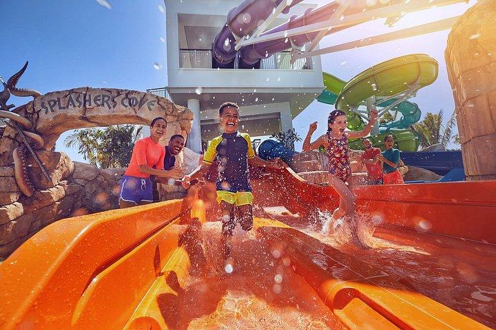 Dubai Aquaventure con Optional Xpress Pass, Acquario e Trasferimento