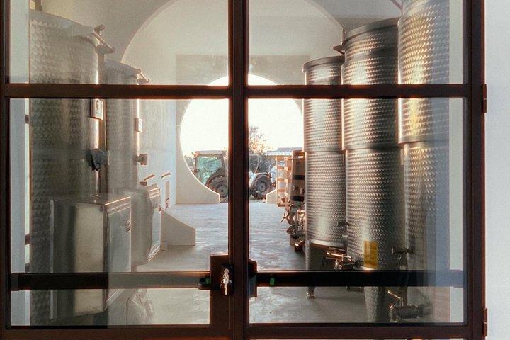 Olive Oil Tour and Tasting Experience in Salento
