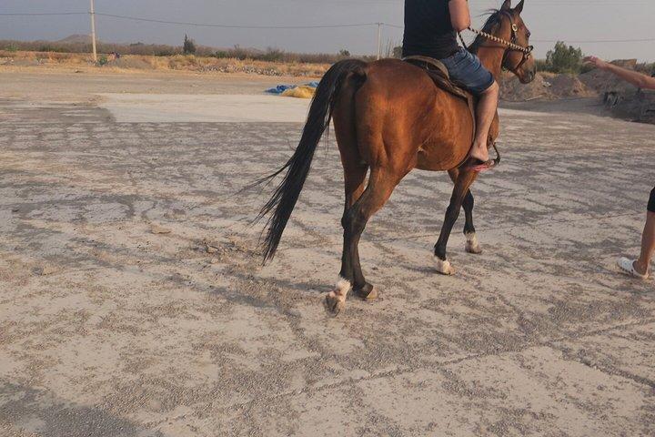 Prima combinazione e unica ad Agafay, cavallo; quad, spettacolo con cena