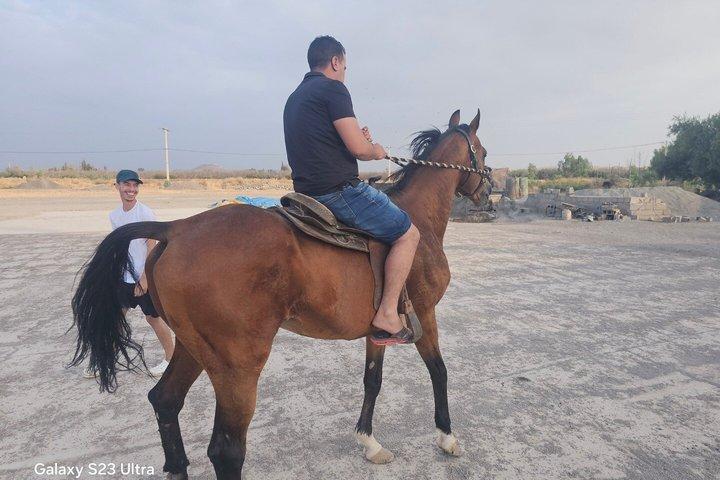 アガファイ、馬、四輪馬車、ディナーショーの初のコンボでユニークなもの