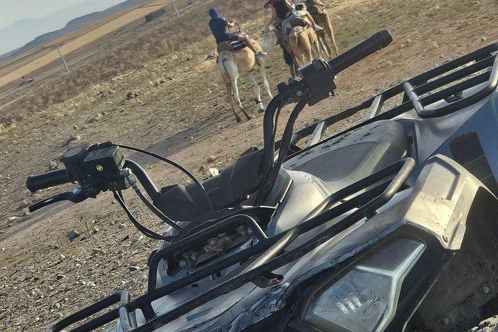 アガファイ、馬、四輪馬車、ディナーショーの初のコンボでユニークなもの