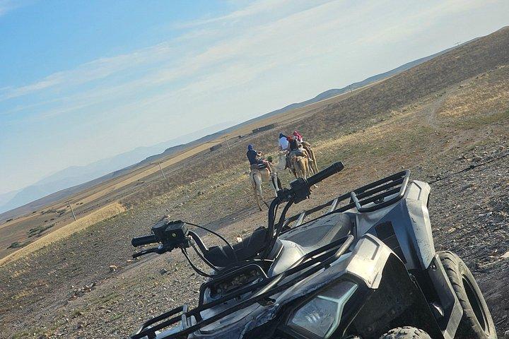 アガファイ、馬、四輪馬車、ディナーショーの初のコンボでユニークなもの