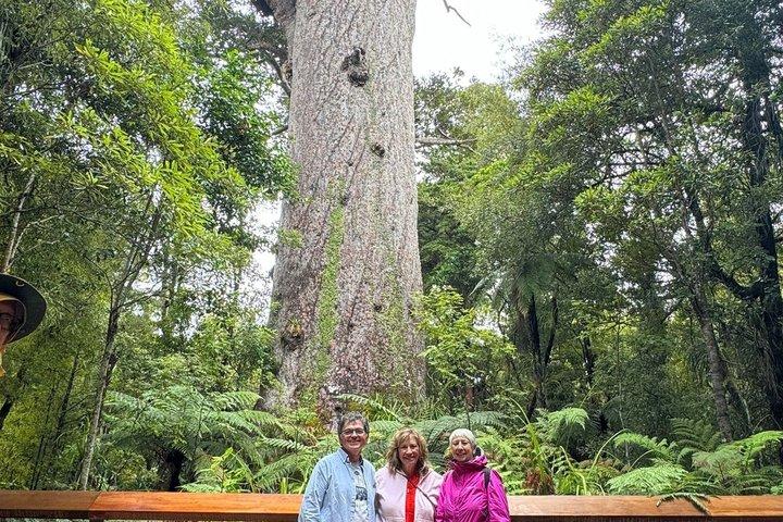 ベイ・オブ・アイランズ2 - オークランド発クルーズ付き日帰り小グループツアー