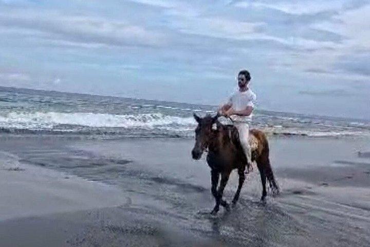 バリ島乗馬、滝、棚田、昼食-オールインクルーシブ