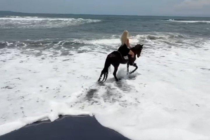 バリ島乗馬、滝、棚田、昼食-オールインクルーシブ