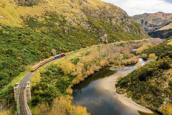 クィーンズタウンからダニーデンへ大襟渓谷列車片道ツアー