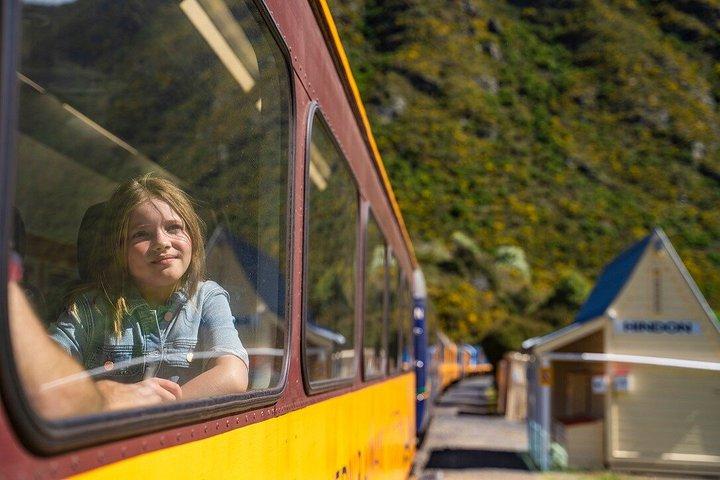 クィーンズタウンからダニーデンへ大襟渓谷列車片道ツアー