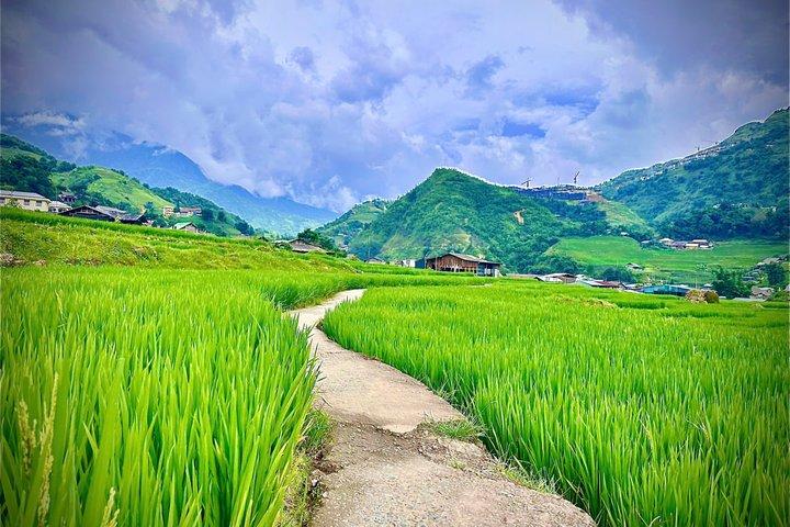 Sapa Trekking Tour: Y Linh Ho & Lao Chai com Guia Local
