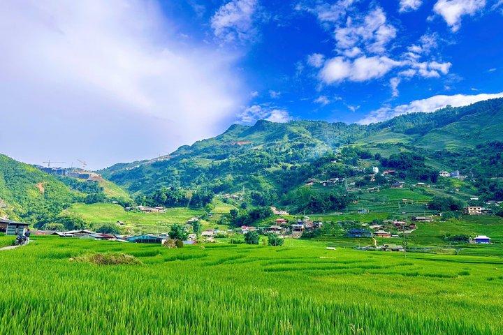 Sapa Trekking Tour: Y Linh Ho & Lao Chai com Guia Local