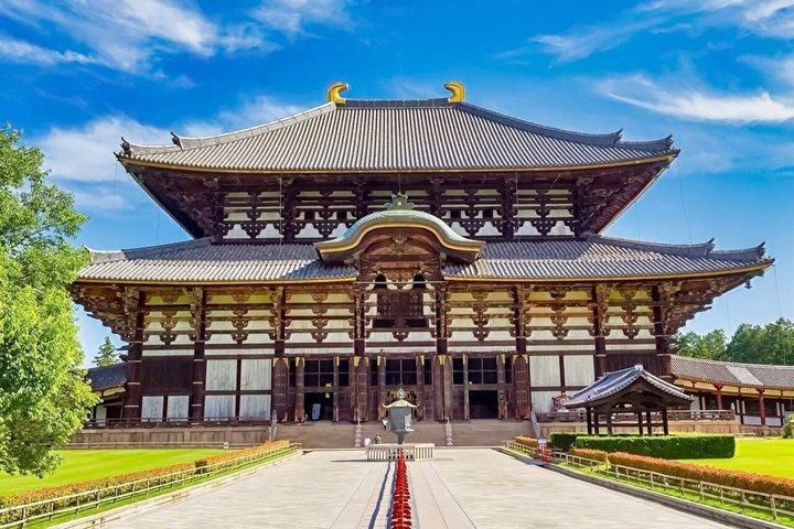 Excursión de un día a Kioto y Nara | Fushimi Inari, Kiyomizu-dera y Nara Park