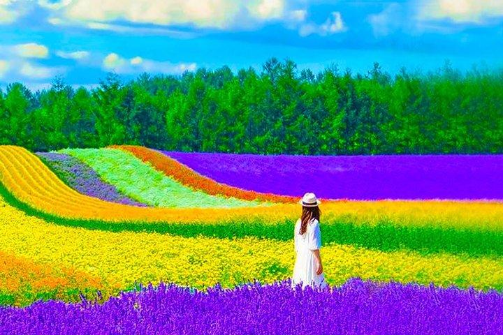 Hokkaido Farm Tomita, Shikisai Oka, waterval, dagtour met blauwe vijver