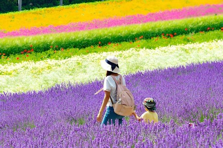 Hokkaido Farm Tomita, Shikisai Oka, waterval, dagtour met blauwe vijver