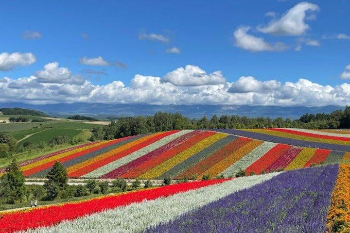 Hokkaido Farm Tomita, Shikisai Oka, waterval, dagtour met blauwe vijver